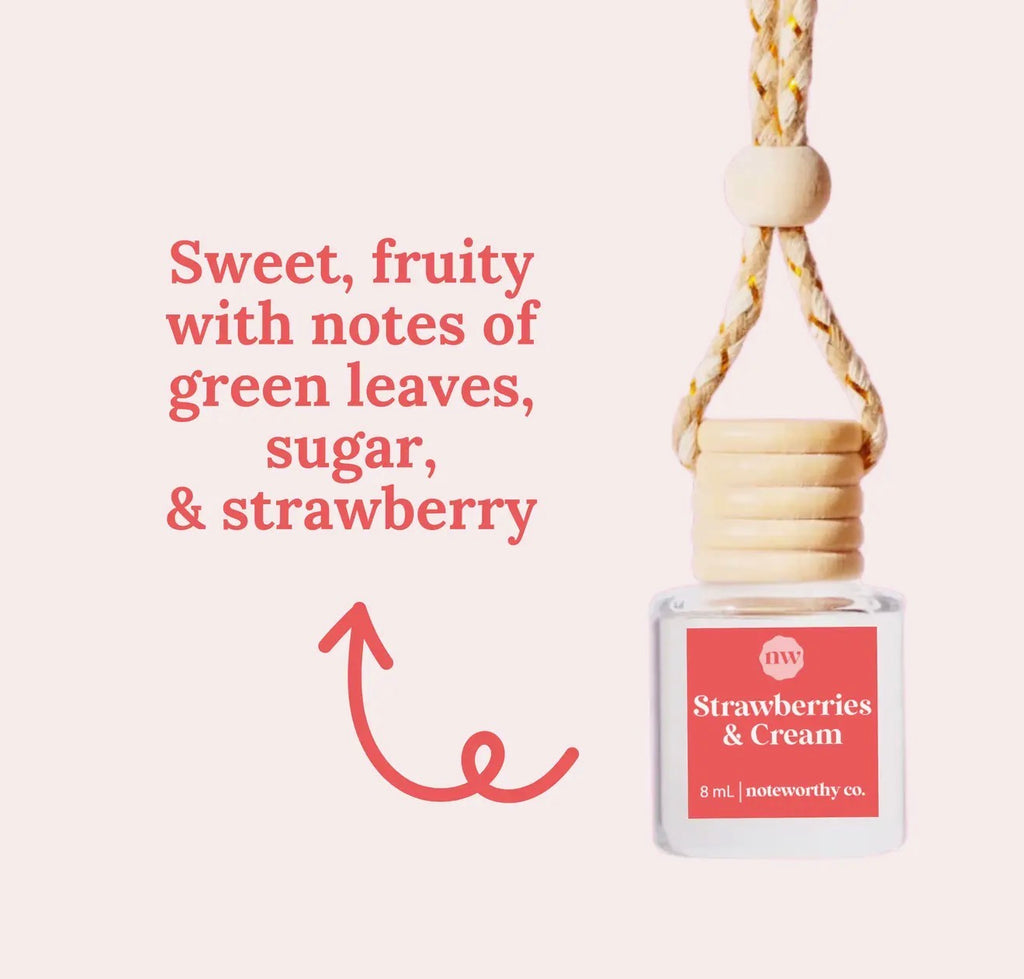 Car Scent Diffusers