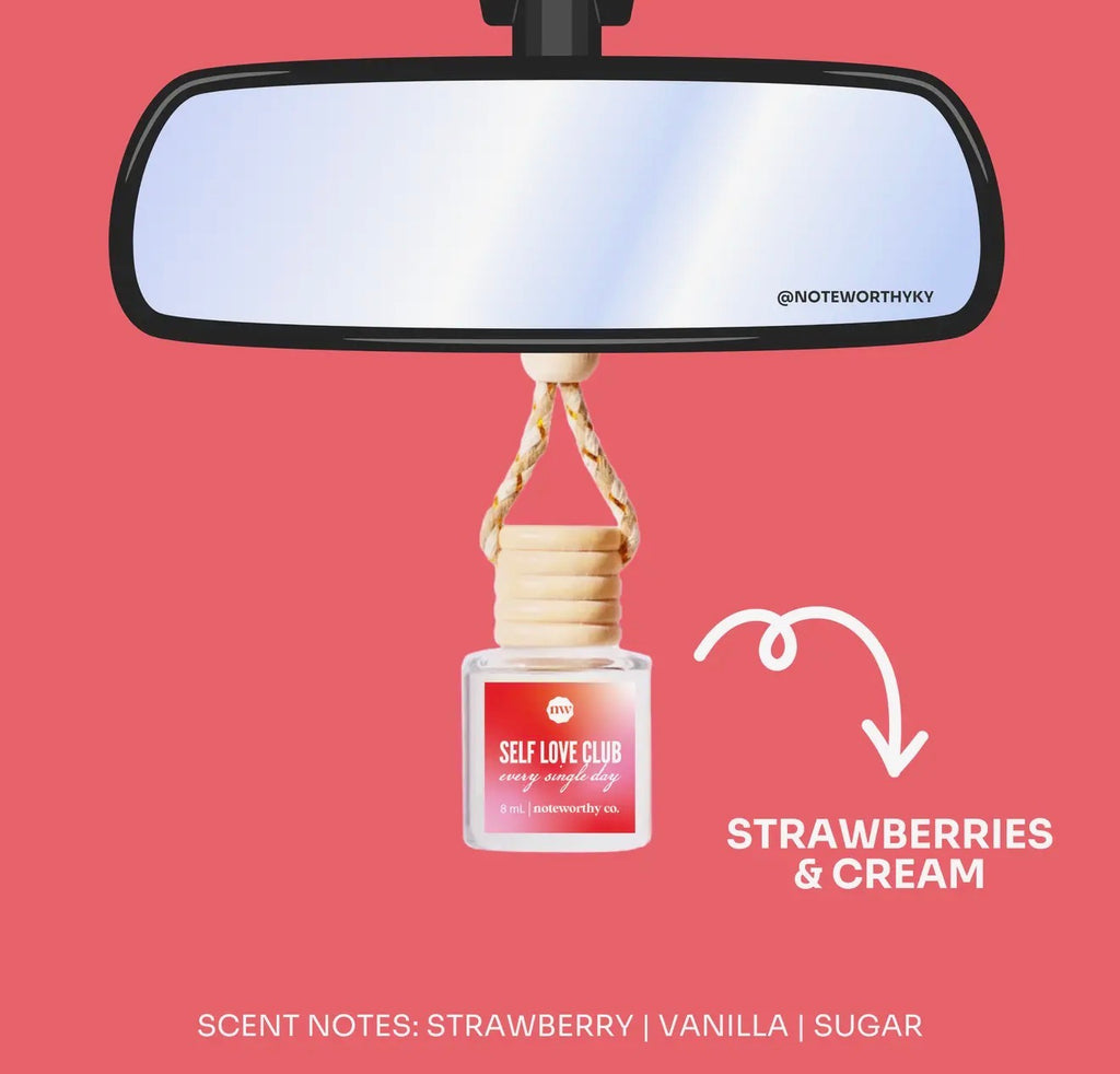 Car Scent Diffusers
