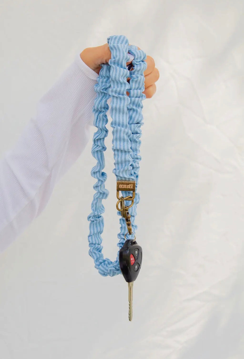 Blue Striped Lanyard