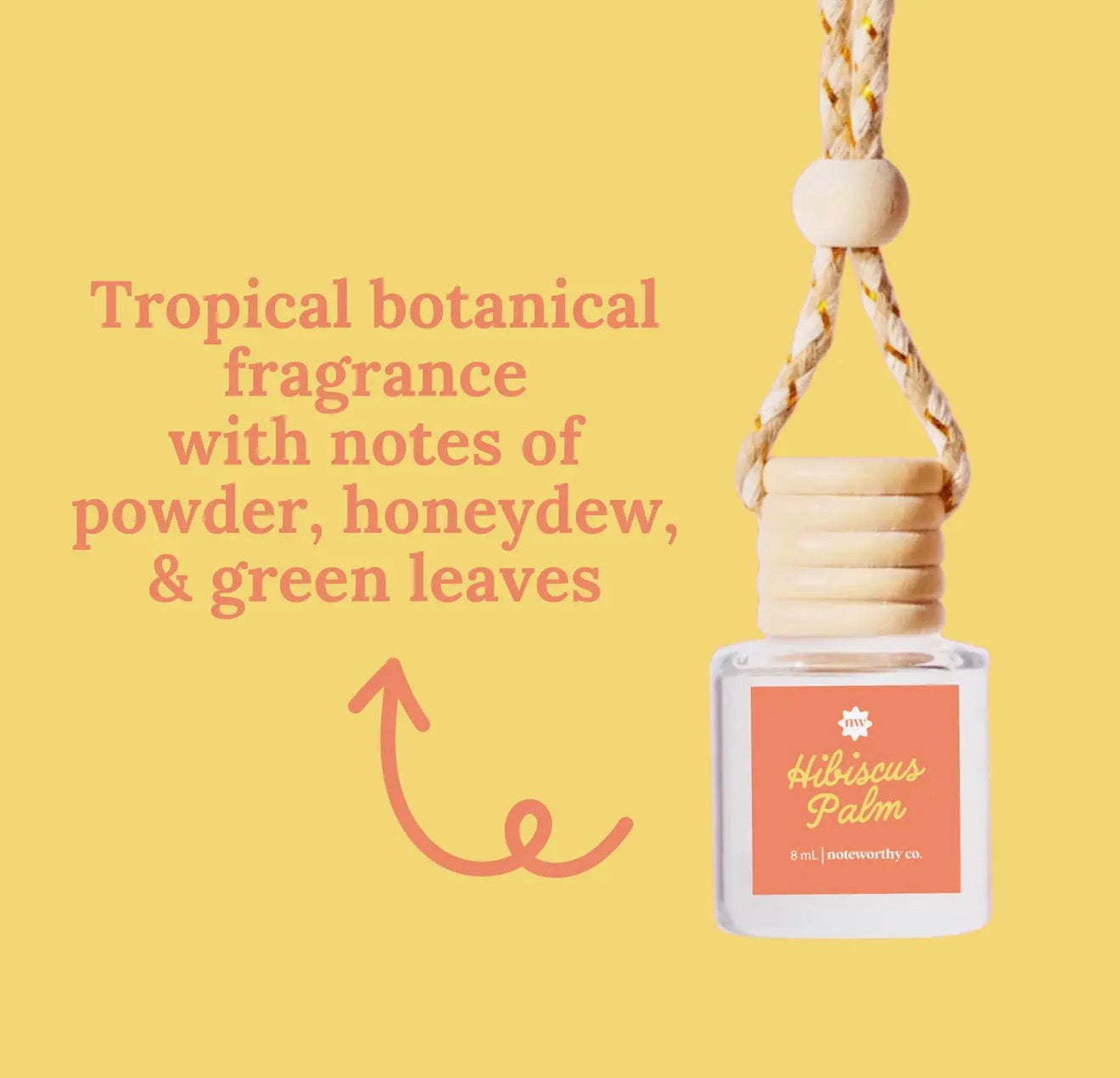 Car Scent Diffusers