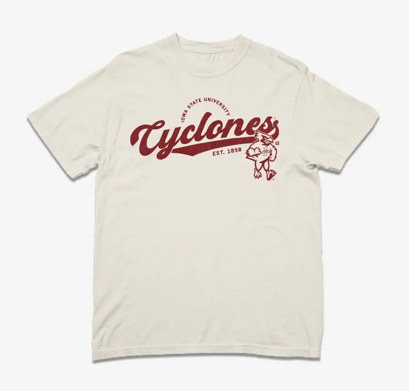 Cyclones T-Shirt