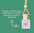 Car Scent Diffusers