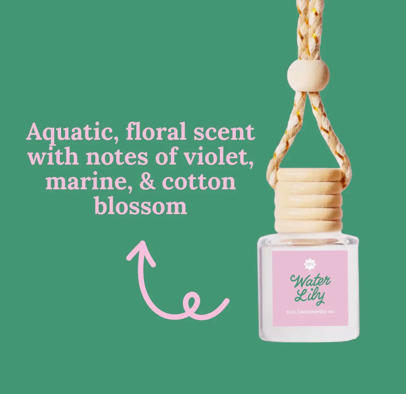 Car Scent Diffusers
